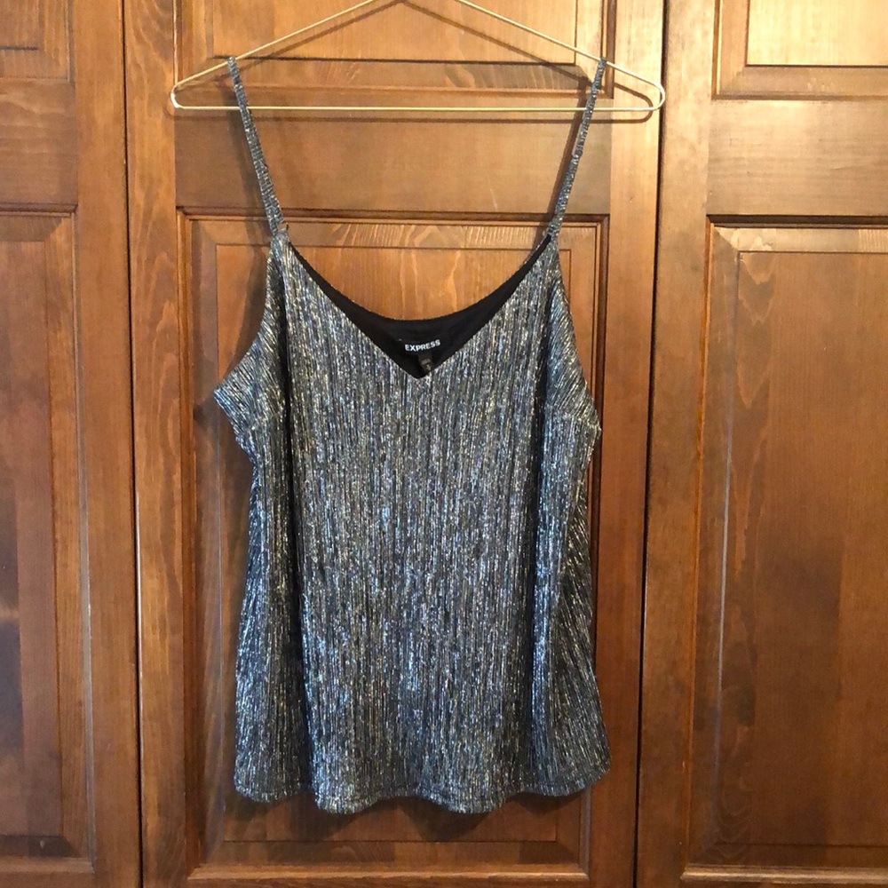 Express Silver Shimmer Top